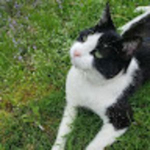 Meet your Posher, Al